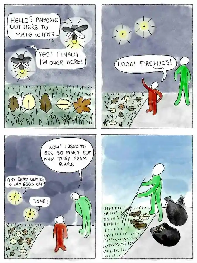 A four-panel comic depicts fireflies trying to mate, but humans mistake them for fireflies and then raking up all the dead…