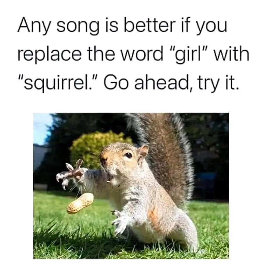 If only I had Jessie’s squirrel!