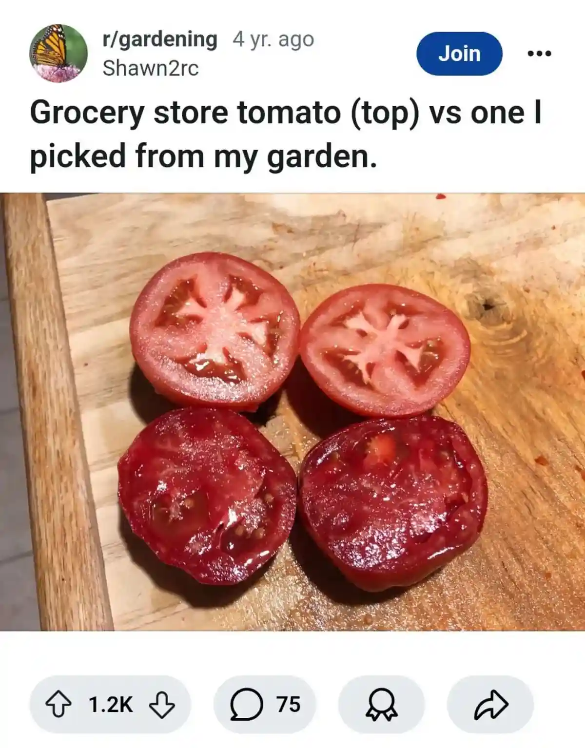 The image shows four tomato halves arranged on a wooden cutting board, with the top two halves appearing plump and juicy…