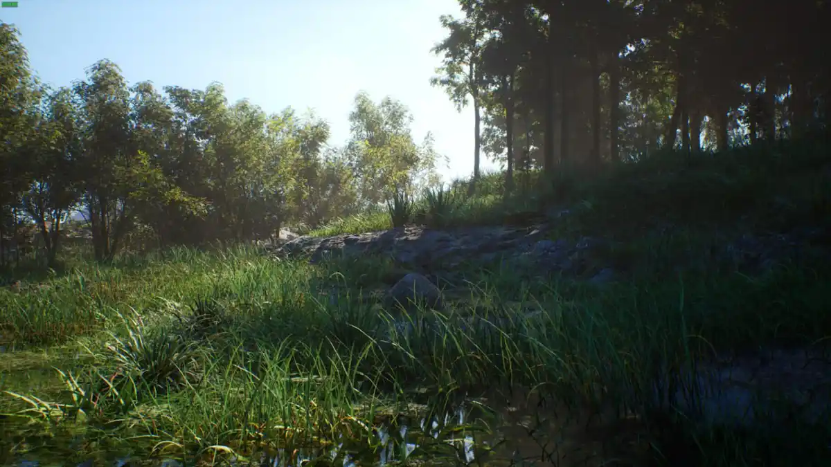 A serene, sunlit forest scene with tall green grasses, a shallow water puddle in the foreground, and trees in the…
