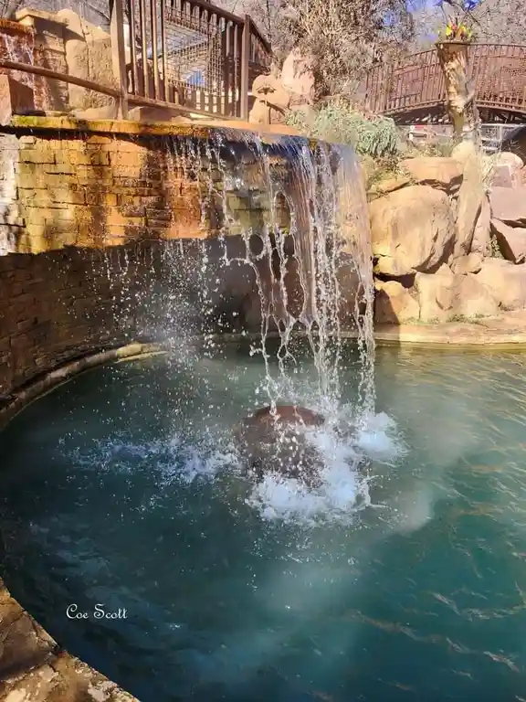 A man's head is submerged underwater in a pool as water cascades over him from a waterfall above, creating a splash. The…