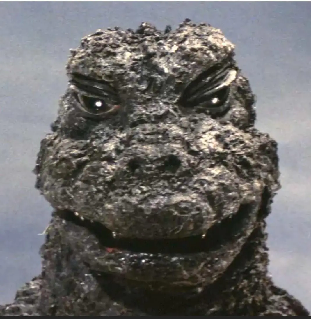 A close-up of Godzilla's face from a classic film, showing his textured, scaly skin and intense, narrowed eyes. The overlaid…