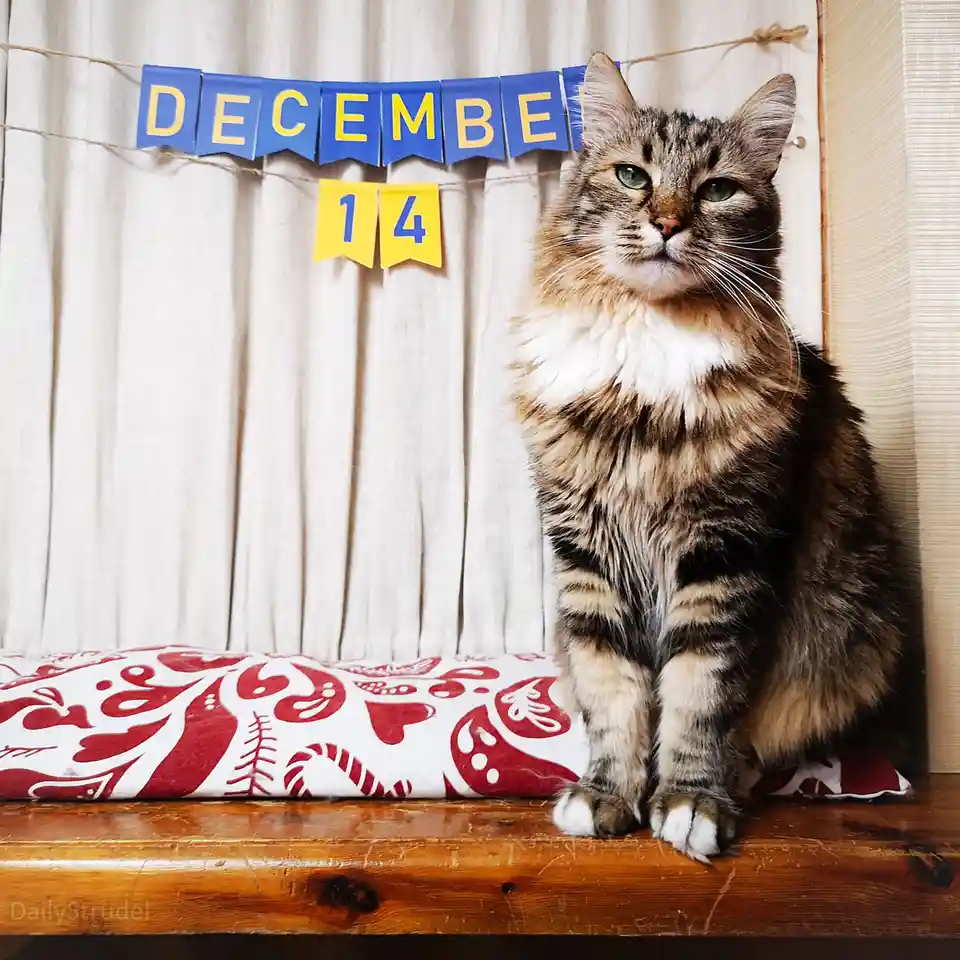 Mark Your Calendars: December 14
