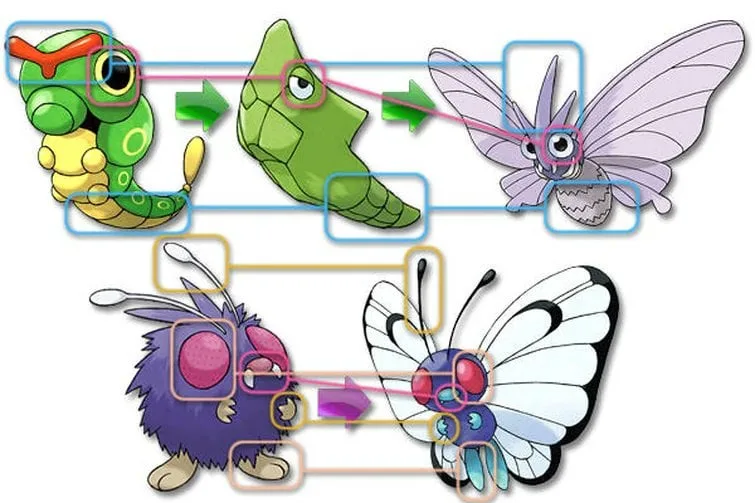 Did Caterpie and Venonat Swap Places? A Pokémon Mystery