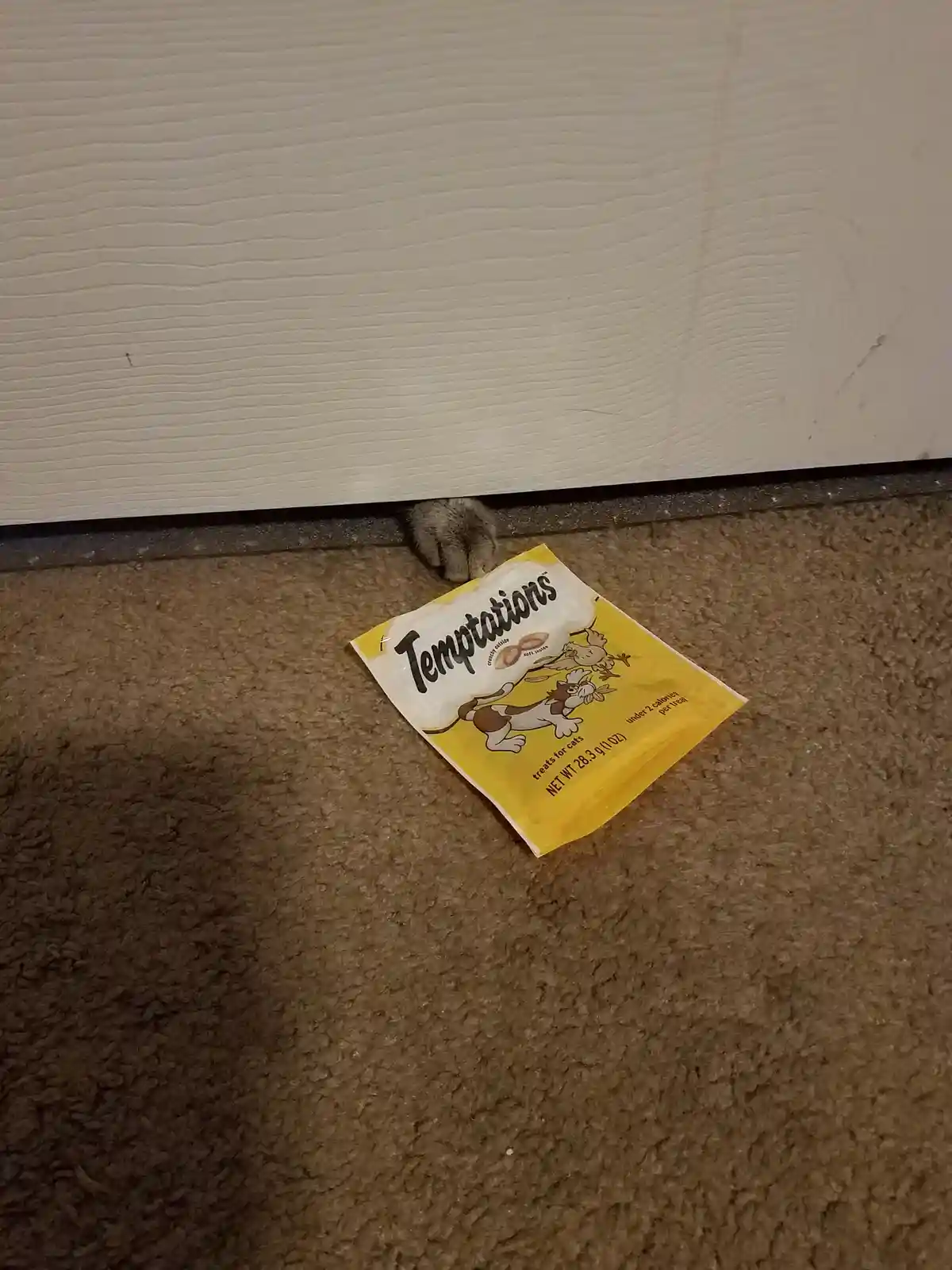 A single grey cat paw peeks out from under a white door, positioned near a yellow bag of 'Temptations treats for cats' lying…