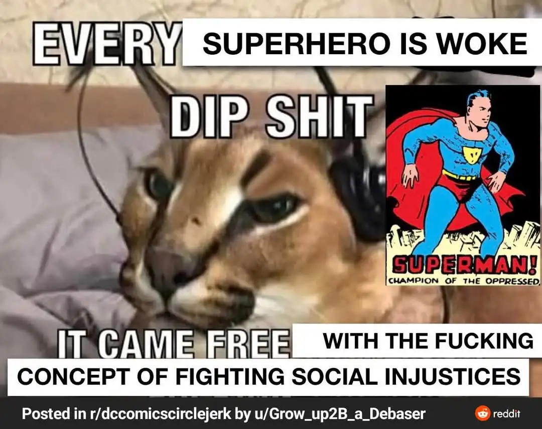 A close-up photo of a cat wearing headphones, looking annoyed, with overlaid text reading 'EVERY SUPERHERO IS WOKE DIP SHIT…