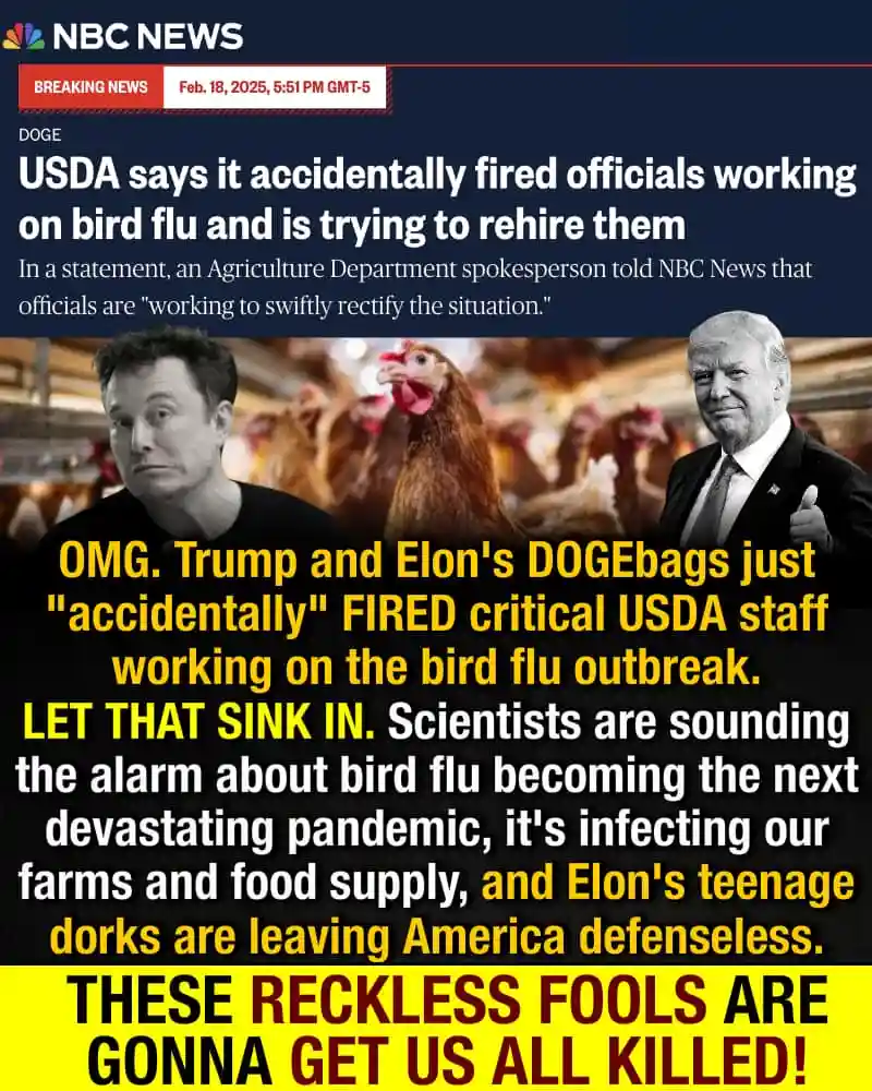 An image mimicking an NBC News breaking news report about the USDA accidentally firing bird flu officials, overlaid with a…