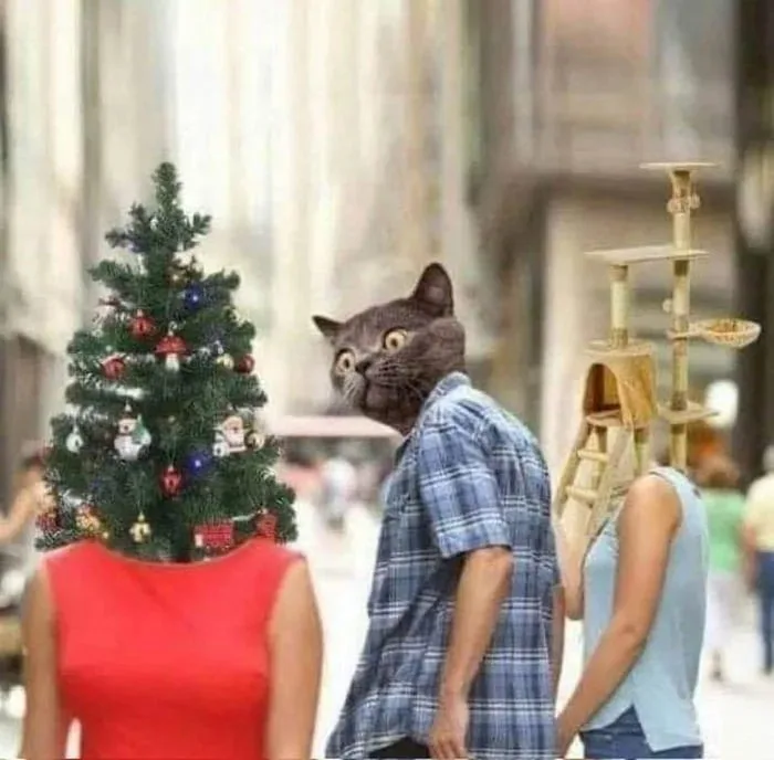 Three people stand back-to-back on a city street; the person on the left has a decorated christmas tree for a head, the…