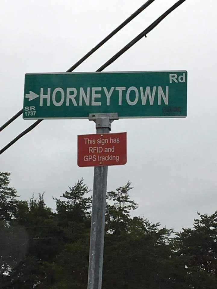 A green street sign for 'HORNEYTOWN Rd' with an arrow pointing right, mounted above a smaller red sign that reads 'This sign…
