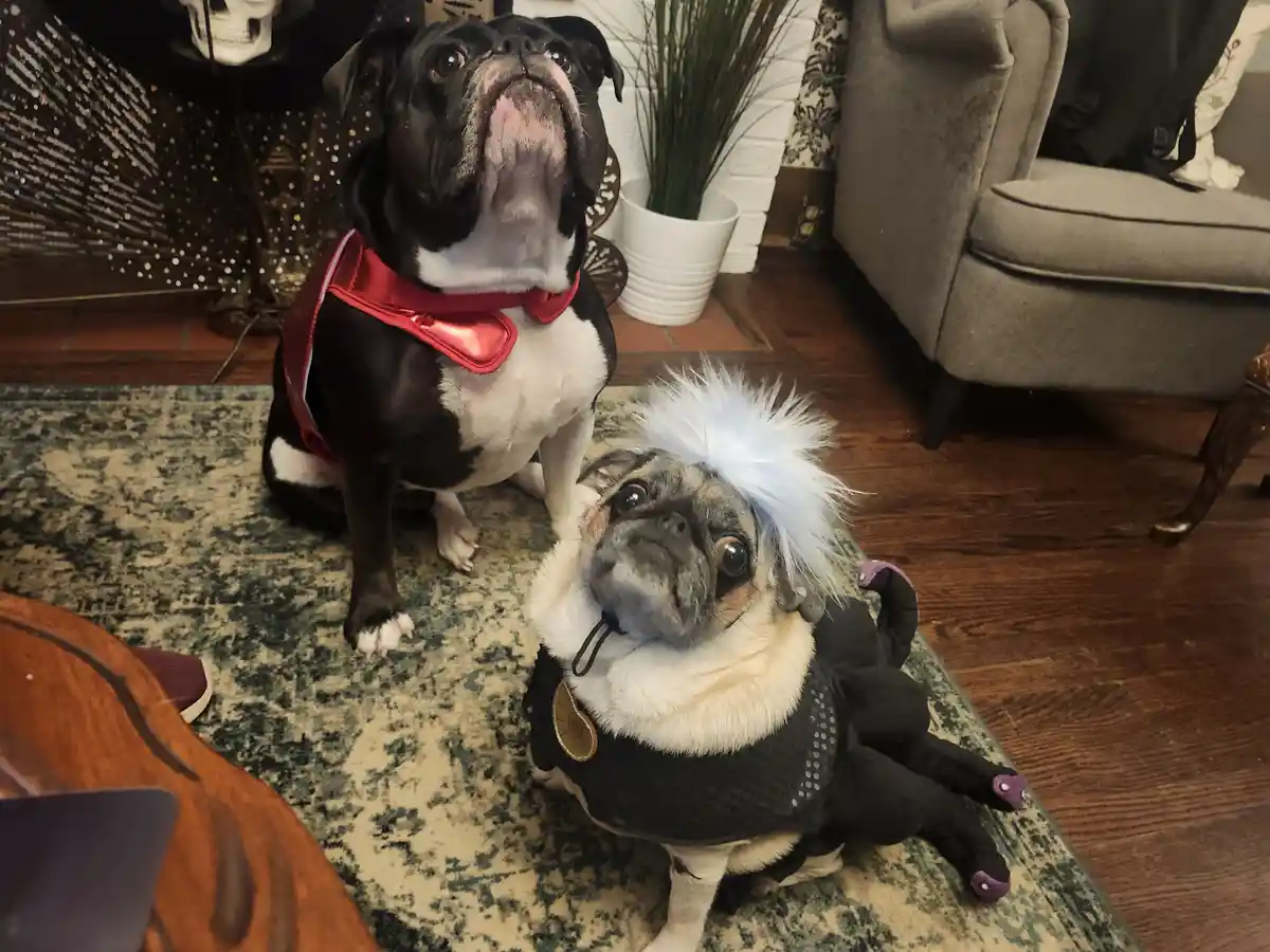 Spooktacular Halloween Vibes!