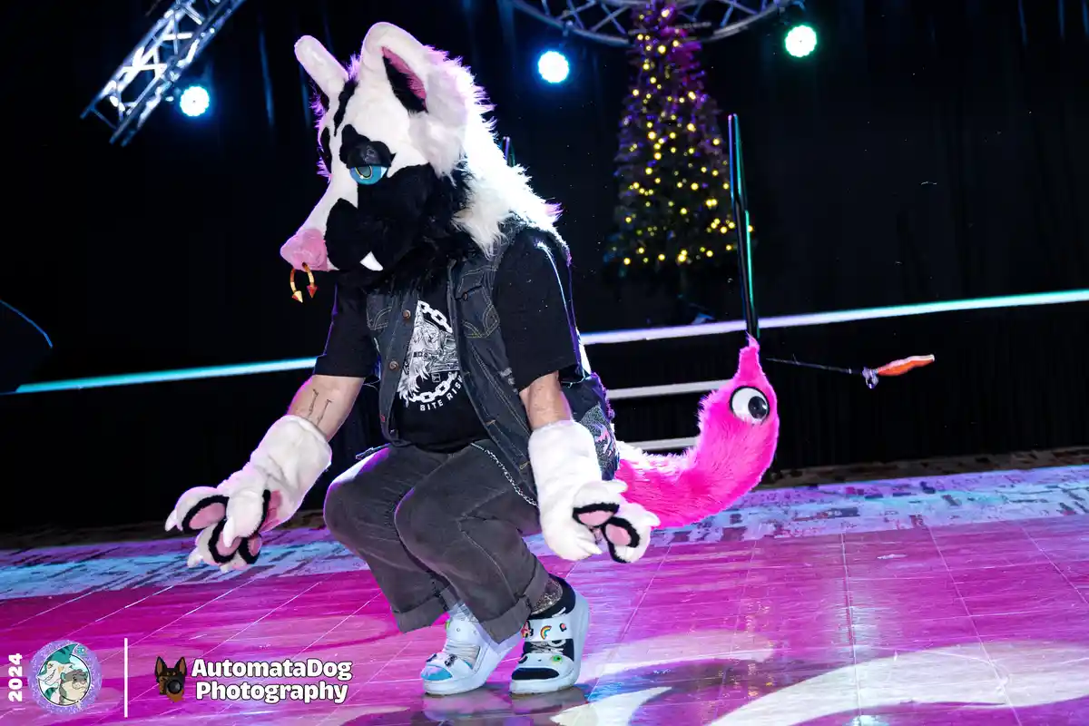A person in a black-and-white wolf fursuit crouches on a stage lit with purple and blue lights, holding a pink, fluffy…