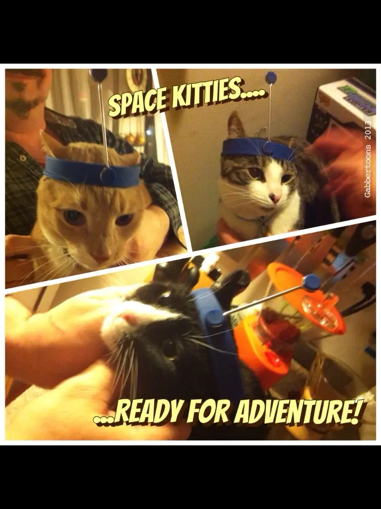 A collage of three photos shows different cats wearing blue headbands with antennae attached, held by people. The top-left…