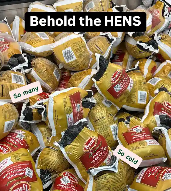 The Hen Chronicles: A Feathered Adventure