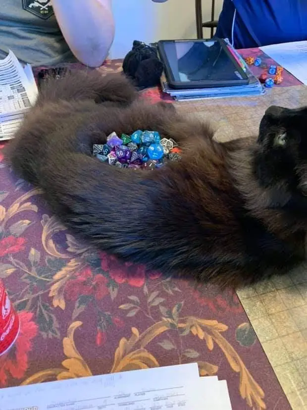 The Ultimate Dice Holder for Gamers