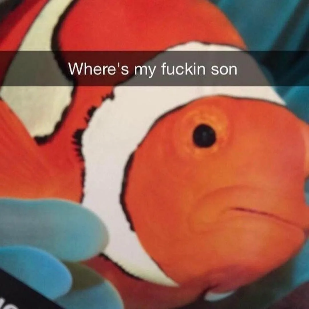 A close-up image of a plush toy clownfish with a sad, downturned mouth and large, expressive eye, overlaid with the text…