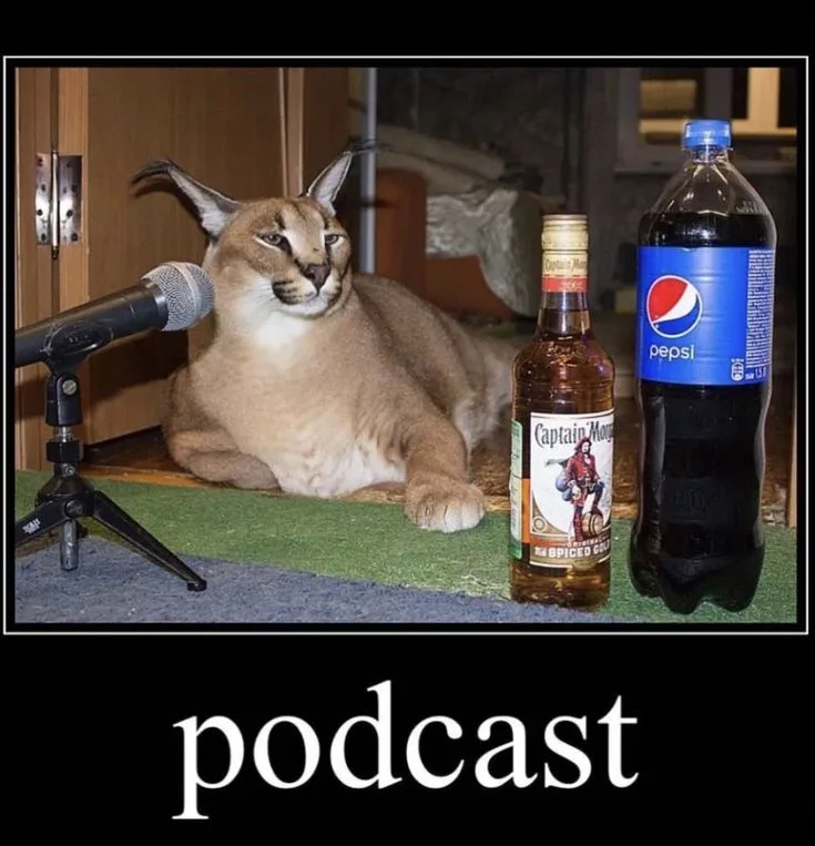 Welcome to the Floppa Podcast: Where Chaos Meets Conversation