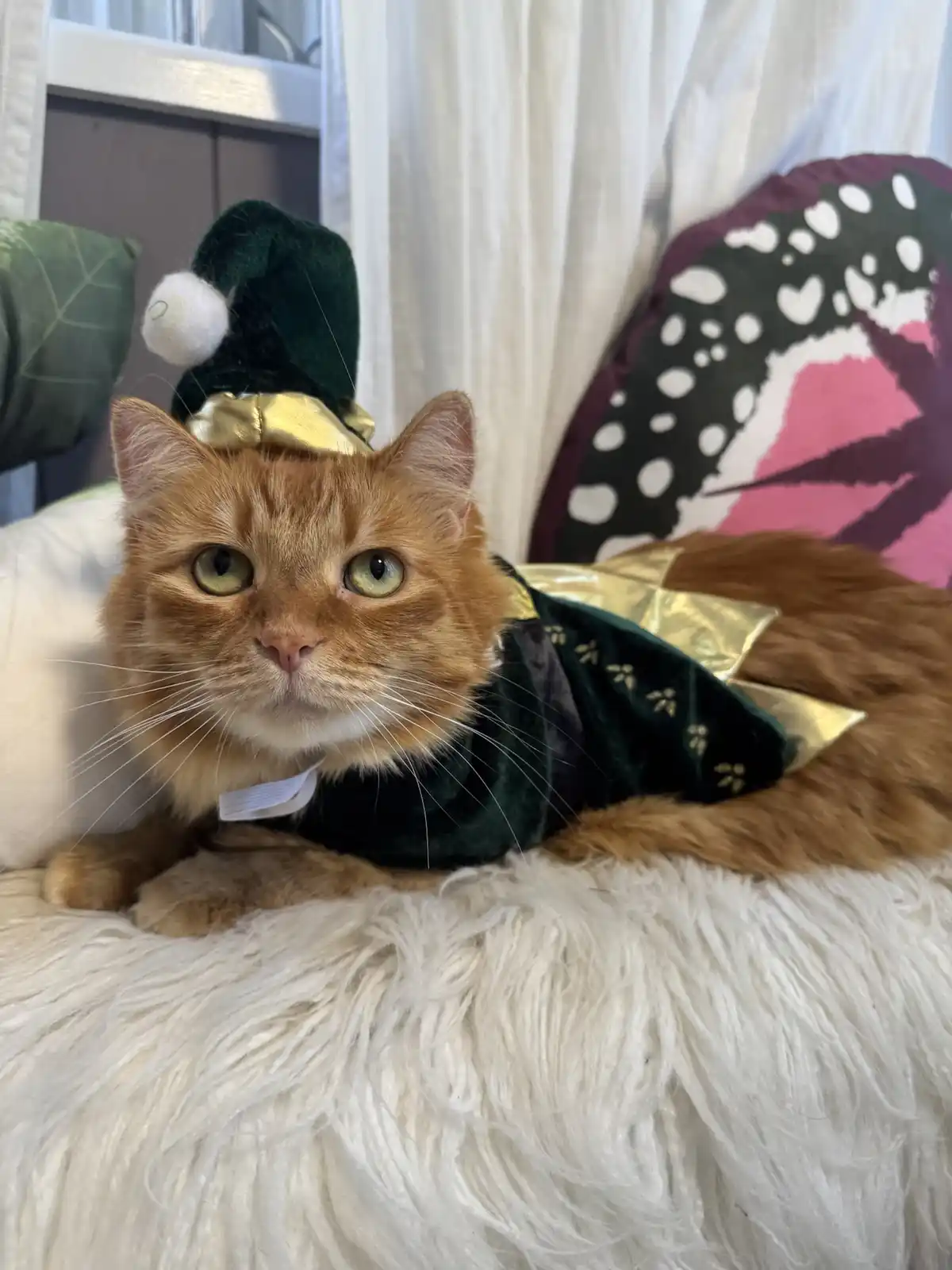 The Journey Continues: Day 119 of Toph