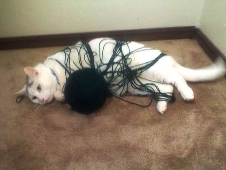 A white cat lies on a brown carpet, entangled in a large ball of black yarn, looking directly at the camera with a calm…