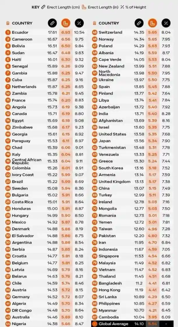Exploring Average Penis Sizes Across the Globe