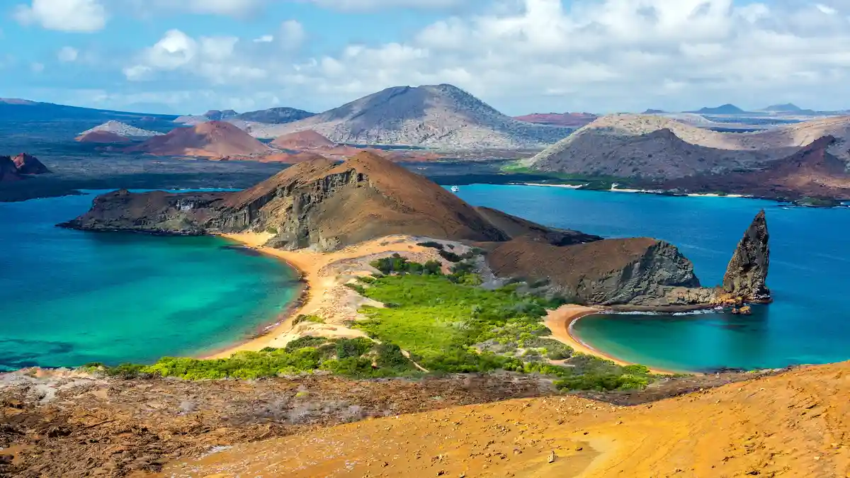 On tiny, barren Bartolome Island in the Galapagos, a vibrant green peninsula teems with life, a remarkable oasis just 500…