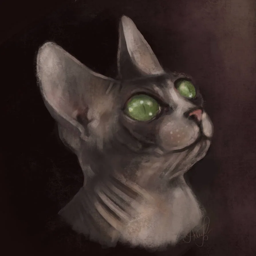 My Journey into Pet Portraits: How It All Began