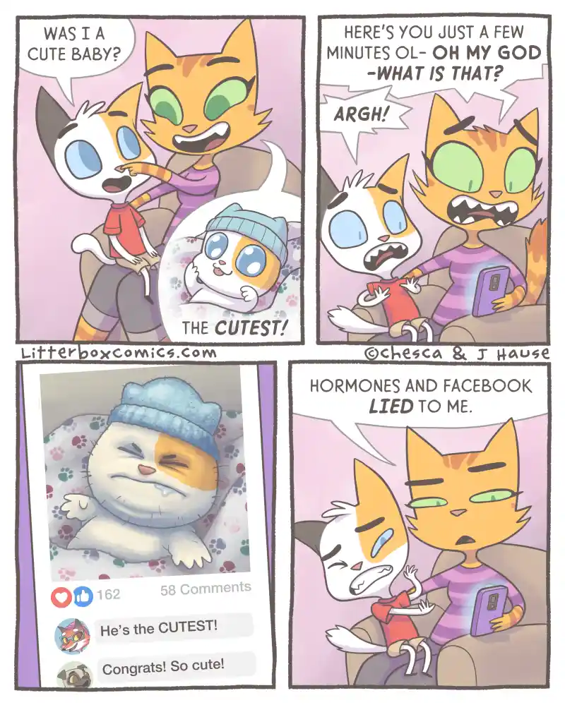 A four-panel comic strip featuring two anthropomorphic cats. In the first panel, a mother cat proudly shows her baby cat a…
