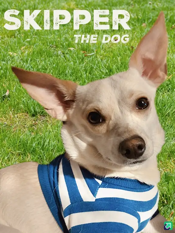 The Adventures of Skipper