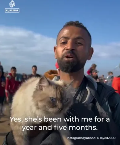 A man with a beard and short hair holds a fluffy, light-colored cat with blue eyes while speaking to the camera. The cat…