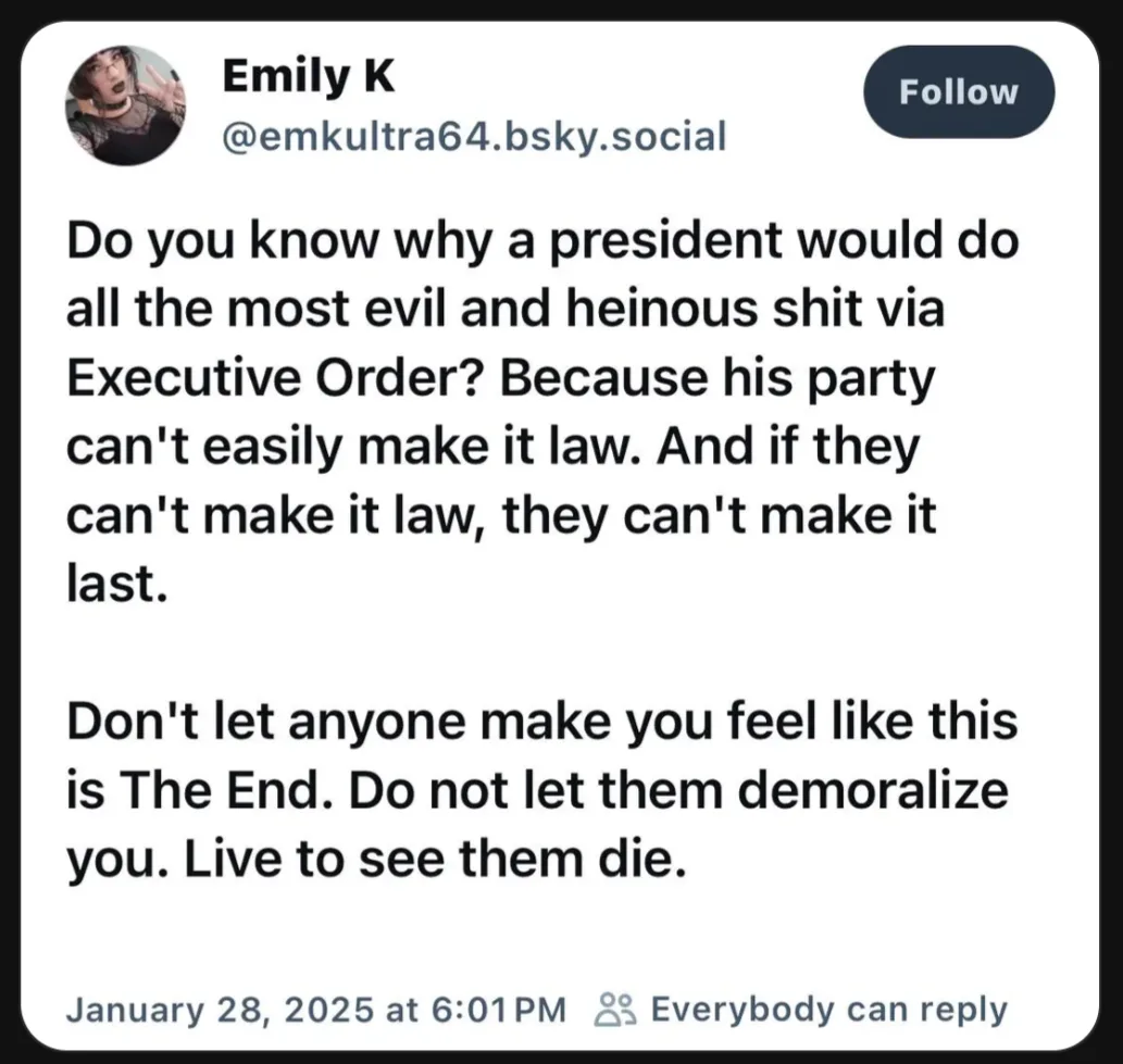 A screenshot of a social media post by 'Emily K' on a platform resembling Bluesky, featuring a white background with black…