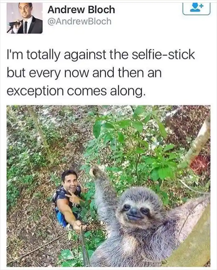 A man in a forest, holding a selfie stick, is taking a photo with a sloth that is also holding the stick with its paw. The…