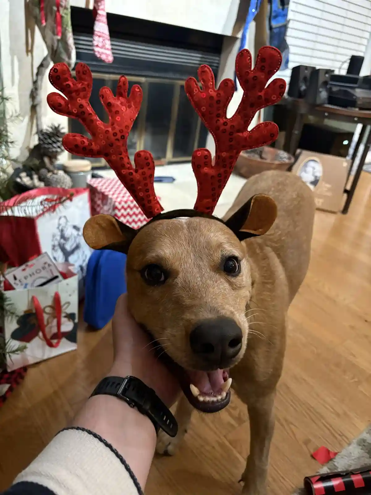 Santa's Sleigh Needs a Helping Hand This Year!