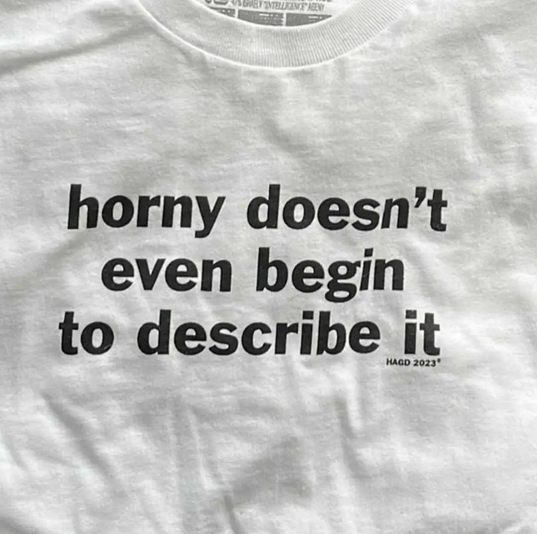 A close-up photo of a wrinkled white t-shirt with bold black text that reads 'horny doesn't even begin to describe it', with…