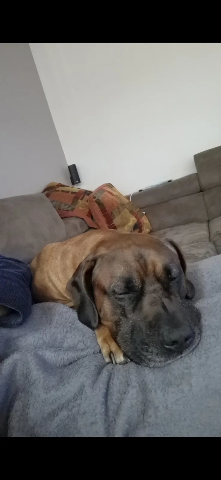 Meet Axel: The Legend