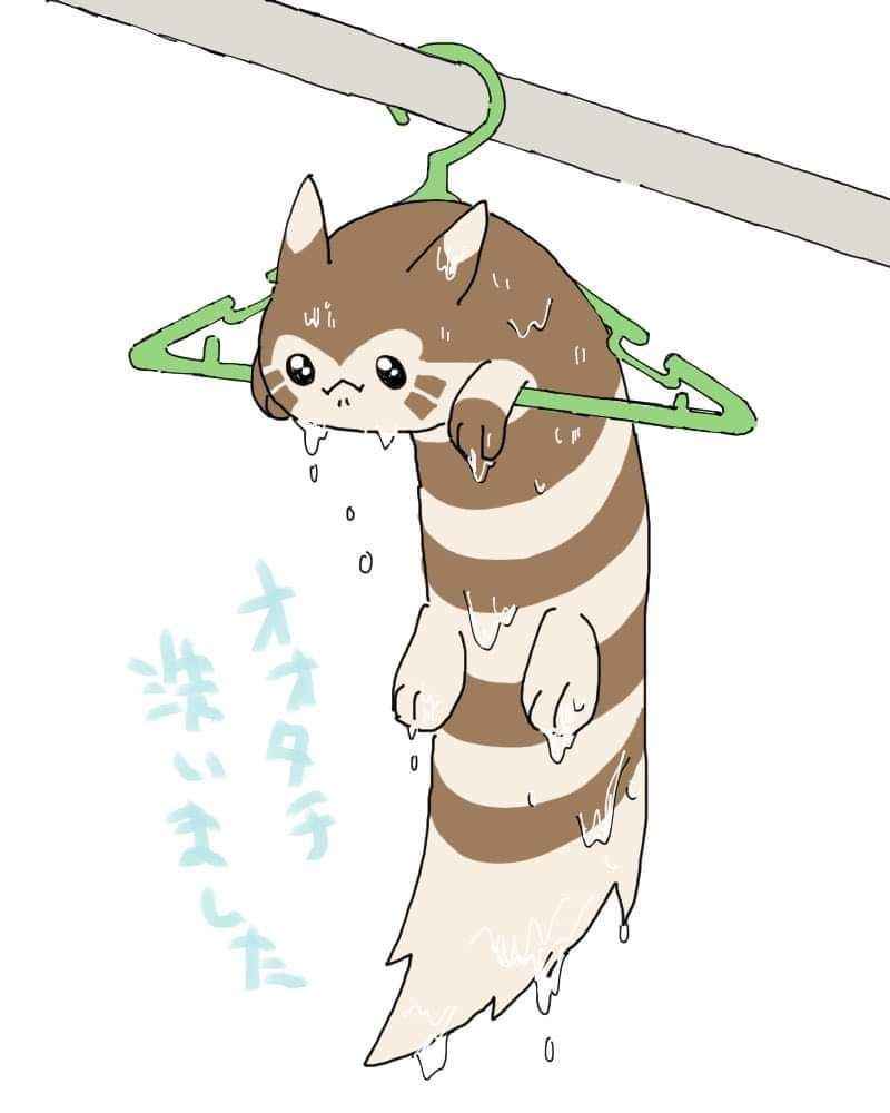 a cartoon otter with brown and cream stripes hangs limp from a green clothes hanger, dripping wet with water droplets…