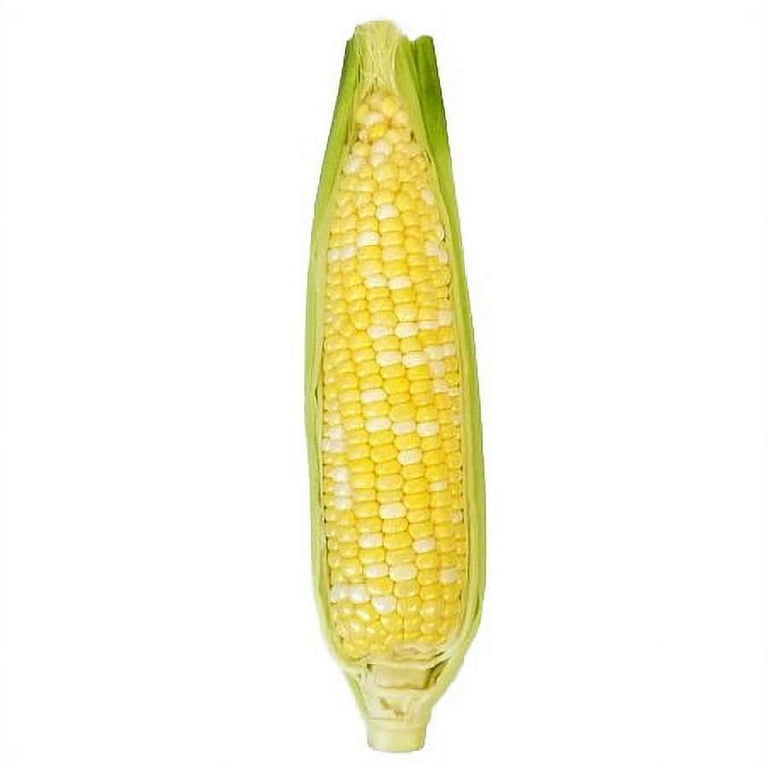 A vertically oriented ear of corn with its green husk partially peeled back to reveal yellow and white kernels against a…