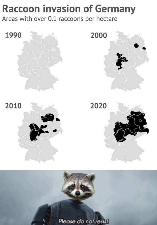 The image displays four maps of Germany from 1990 to 2020, each showing the spread of raccoon populations with black shading…