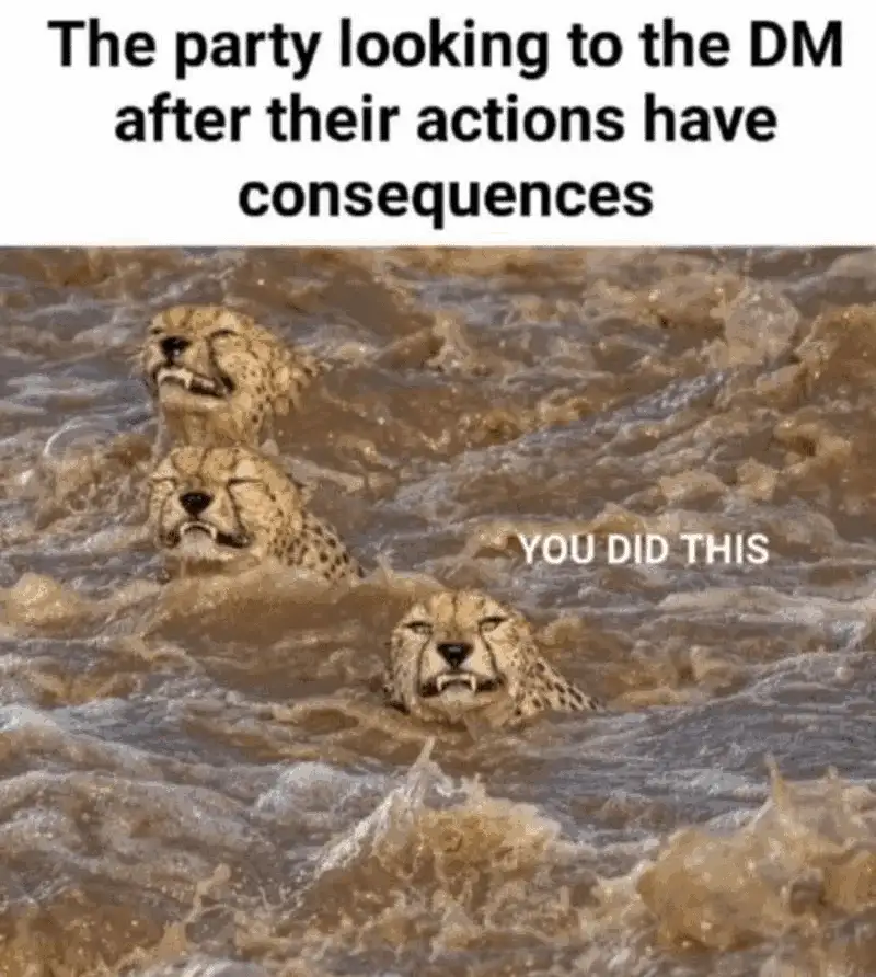 Three cheetahs are submerged in muddy water, their faces visible above the surface with expressions of shock or regret. The…