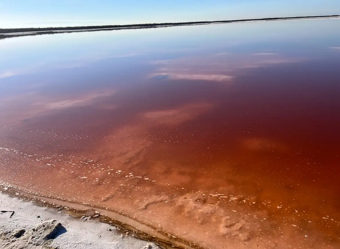 A wide, calm body of water with a gradient from light pink to deep red, reflecting a clear blue sky. The shoreline in the…