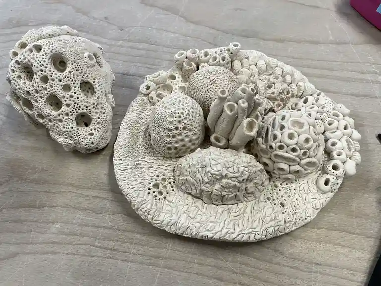 A photo shows two white clay sculptures resembling coral reefs, one spherical and one circular with various textured forms…