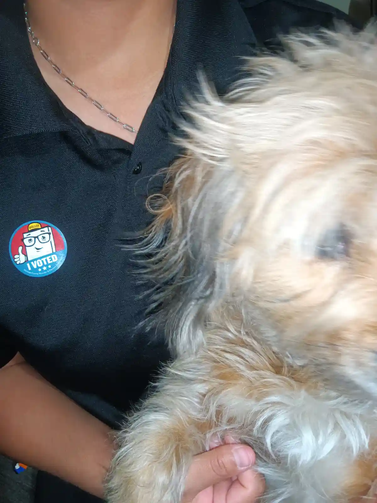 One of My Kids Made a Difference Too: Please Vote!