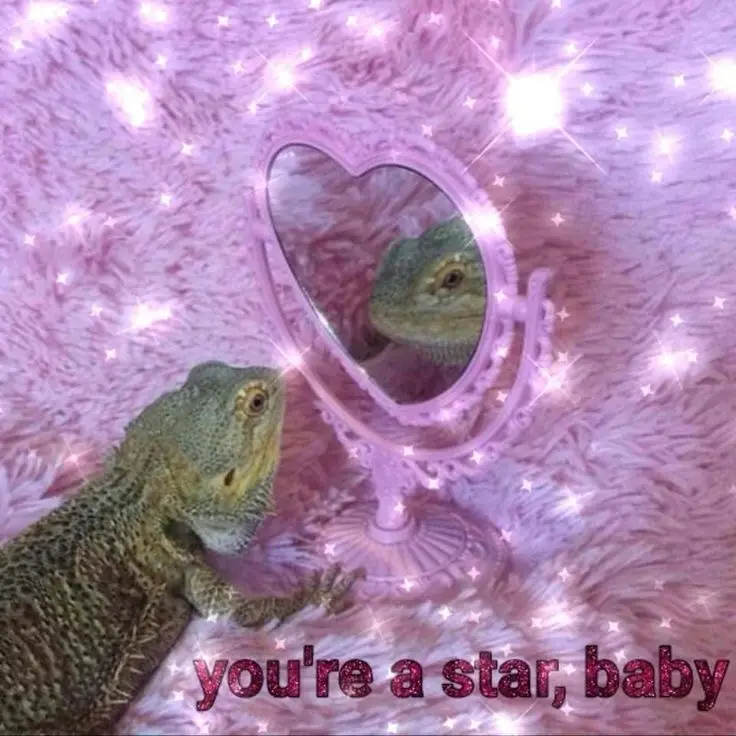 A green bearded dragon lizard looks at its reflection in a small, ornate, heart-shaped pink mirror. The scene is heavily…