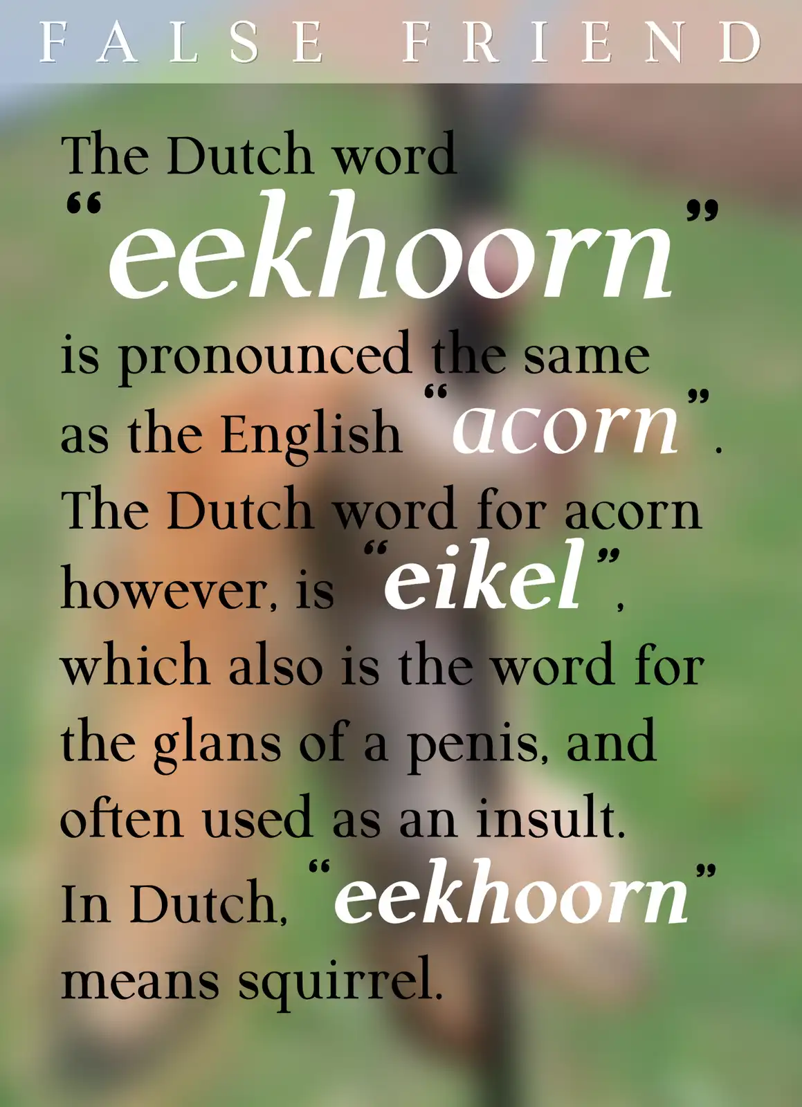 The image displays a text overlay on a blurred background, explaining a Dutch language 'false friend' where the word…