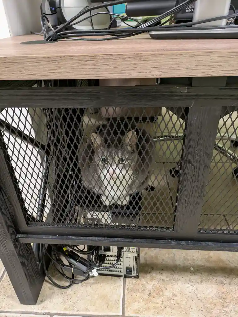 A gray and white cat with green eyes is peeking through the diamond-patterned metal mesh of a desk's lower shelf, surrounded…