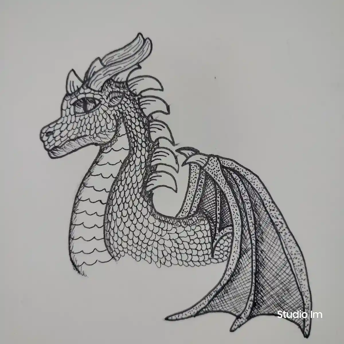 A detailed black-and-white line drawing of a dragon's head, neck, and one wing, rendered with intricate scales and shading…