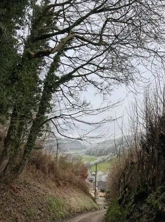 A narrow dirt path winds down a hillside framed by bare tree branches and ivy-covered trees, leading to a distant village…