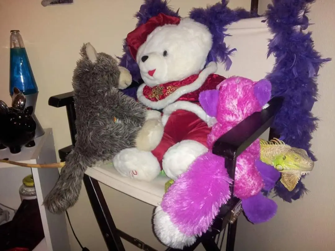 A white teddy bear wearing a red velvet outfit and a red bow sits in a director's chair decorated with purple feather boas…