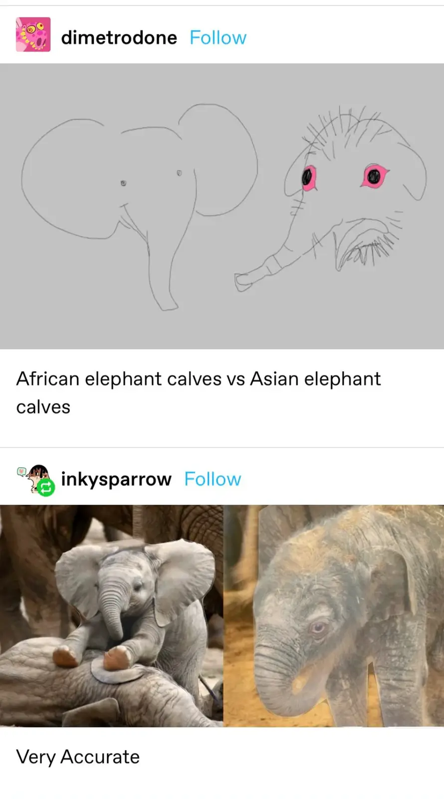 Some human babies are undeniably cuter than others!
