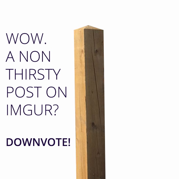 A vertical wooden post with a split in its grain, set against a plain white background. Overlaid text in dark purple reads…