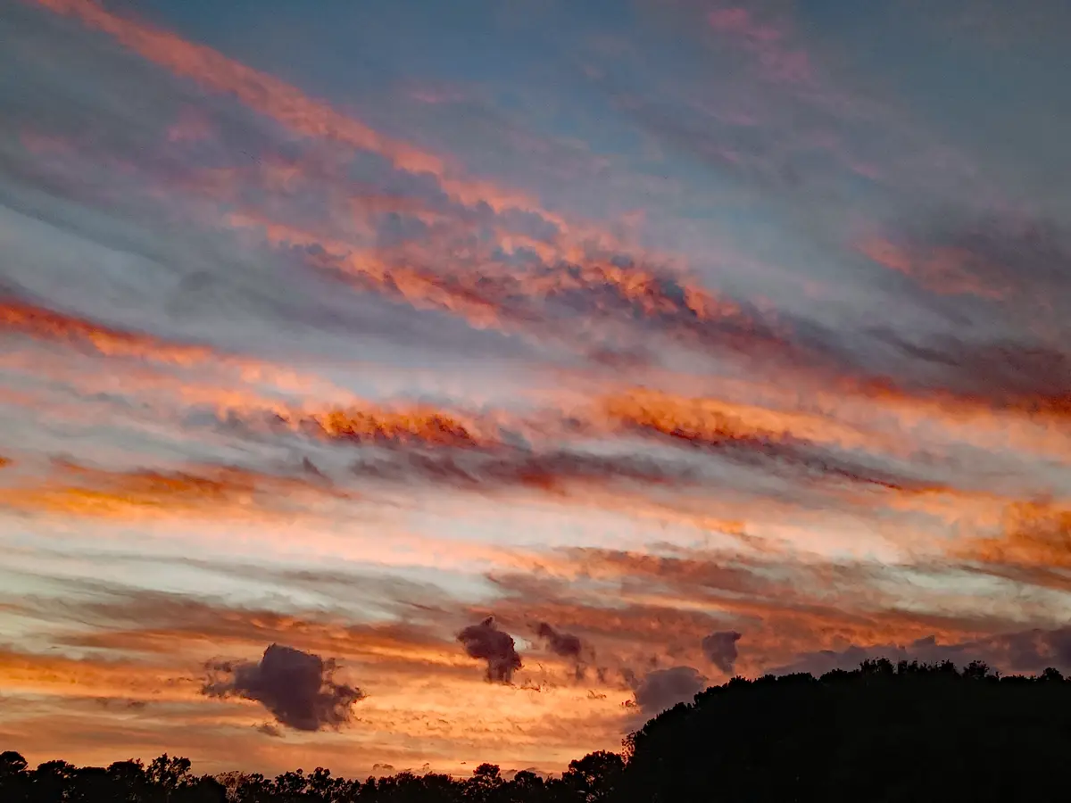 A photograph of a dramatic sunset or sunrise with streaks of orange, pink, and blue clouds over a dark treeline silhouette…