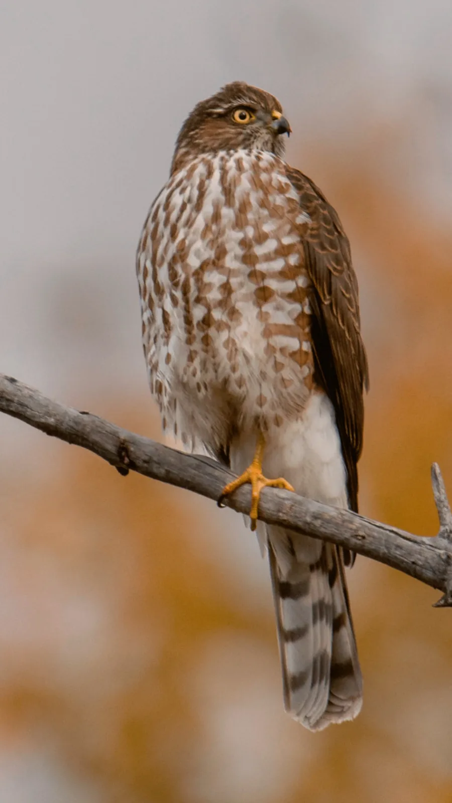 The Power of Intent: What Are You Aiming For?
